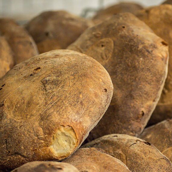 pane-laterza-dettaglio